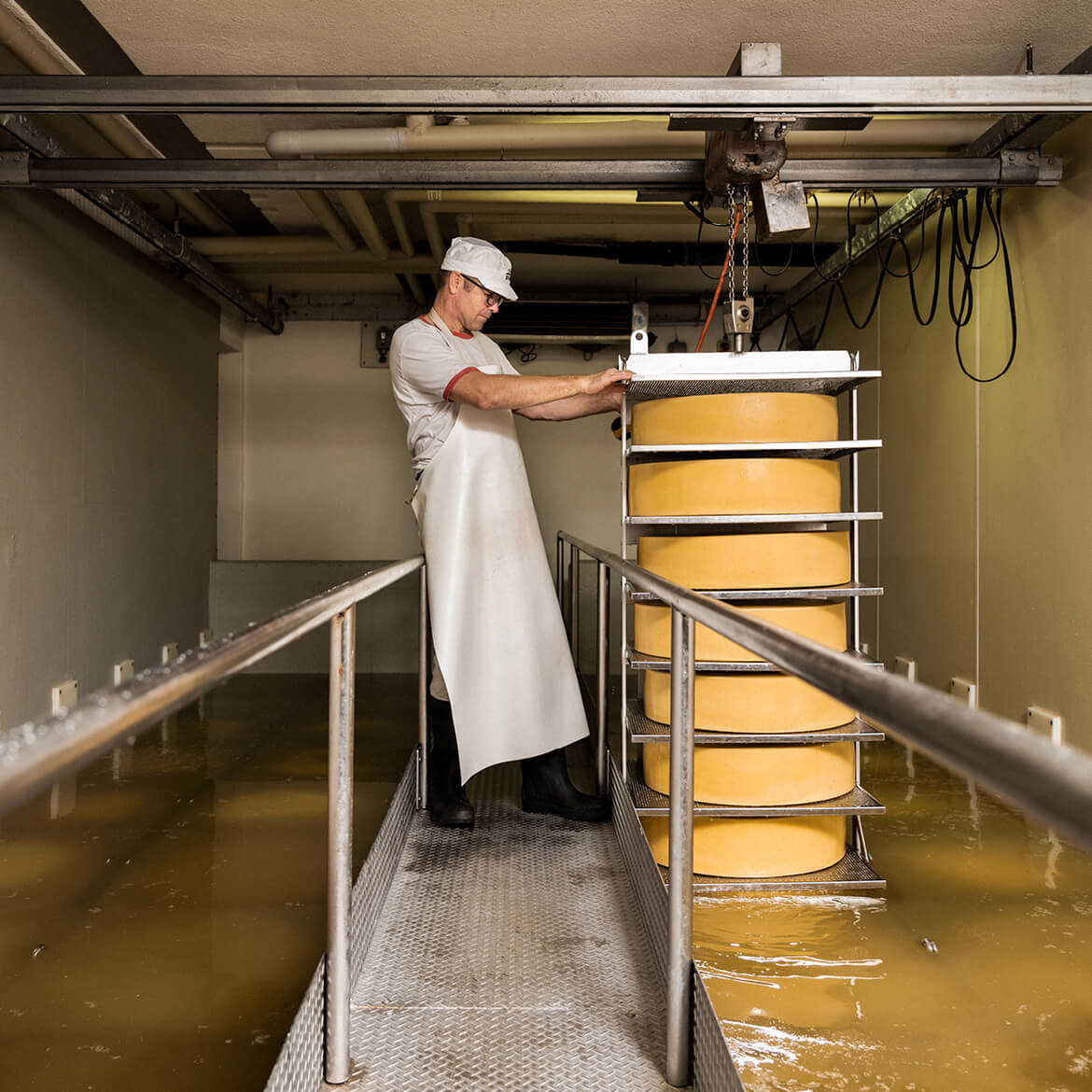 Cheese dairies & storage facilities