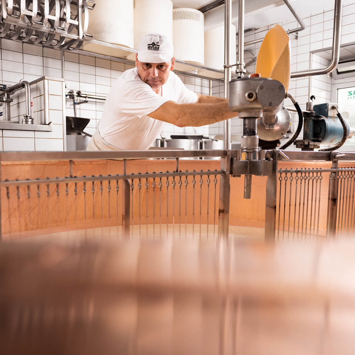 Cheese dairies & storage facilities