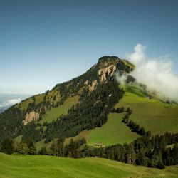 Sbrinz-Herkunft-Kaeserei-Alp-Chueeneren-02