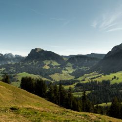 Sbrinz-Herkunft-Kaeserei-Engenlauenen-Alp-02