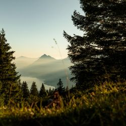 Sbrinz-Herkunft-Kaeserei-Fluonalp-04