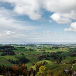 Sbrinz-Herkunft-Regio-Chaesi-Willisau-05